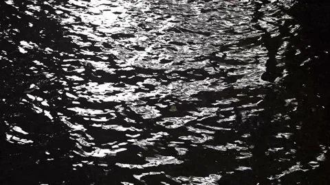 Water reflection Vídeos de archivo 158130418