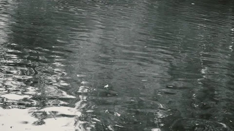 Water reflection Stock Footage 162578274