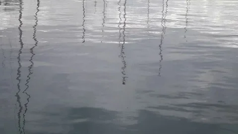 Water reflection in harbor Video stock 98692837