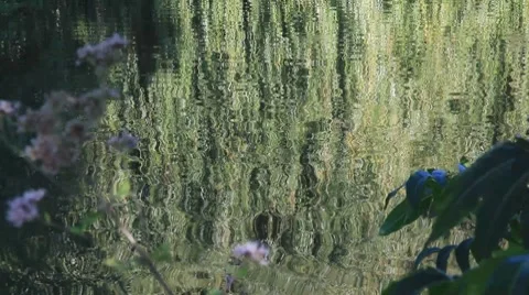 Water reflection HD 1080p Stock Footage 8662792