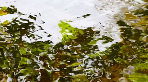 Water reflection HD Stock Footage 32395799