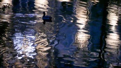 Water reflection, House abstract at dusk,  autumn, Bremen, Germany. Stock Footage 120441104