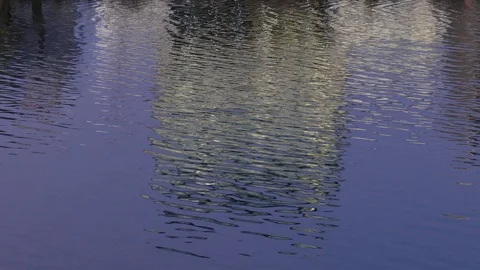 Water reflection, House abstract at dusk,  autumn, Bremen, Germany. Stock Footage 123223857