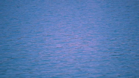 Water Reflection in a Lake Stock Footage 100589955