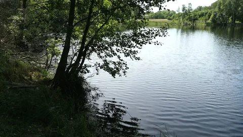 Water reflection at lake in summer time. Countryside in Havelland in Germany. 스톡 동영상 109641149