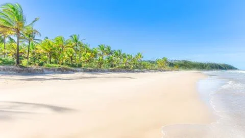 Water reflection on a large sand beach 库存照片