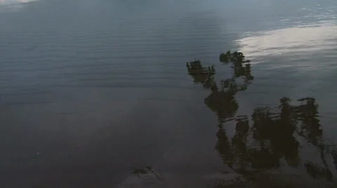 Water reflection in miramar lagoon Stock Footage 38925560