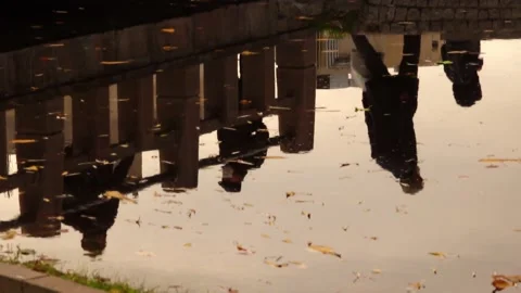 Water reflection of pedestrians on the bridge. Stock Footage 145882772