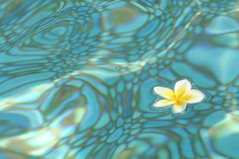 Water reflection Stock Photos