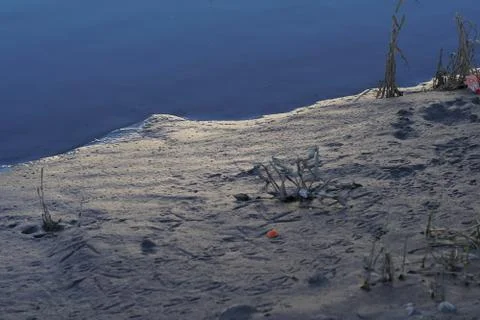 Water reflection Stock Photos