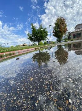 Water reflection Stock Photos