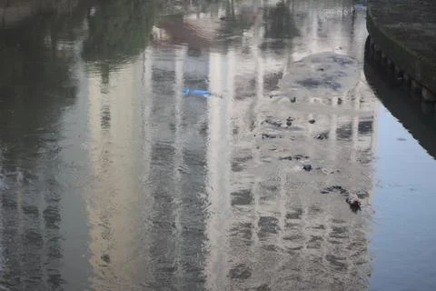 Water reflection Stock Photos