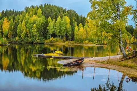 Water reflection of Pine trees with yellow leaf under the blue sky Stock Photos