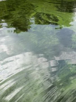 Water Reflection Ripples Trees Green Nature Abstract Pond Lake Surface Calm Stock Photos