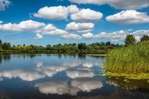 Water reflection of sky and clouds on a lake on a sunny spring day Stock Photos