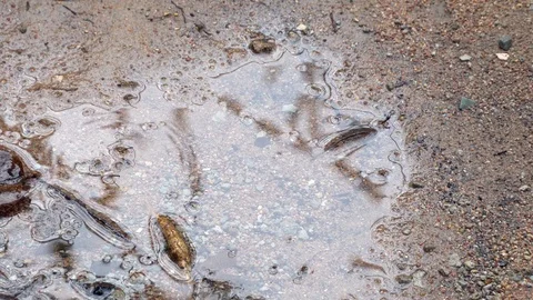 Water reflection on soil floor Stock Footage 87812646