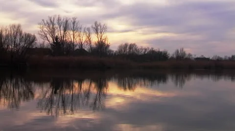 Water reflection. Tree branches. Stock Footage 34508011