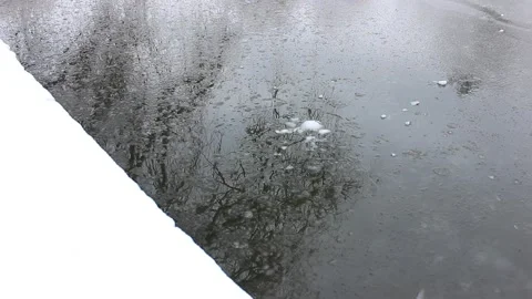 Water reflection with tree branches Video stock 123893979