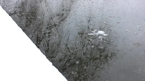 Water reflection with tree branches 스톡 동영상 123893985