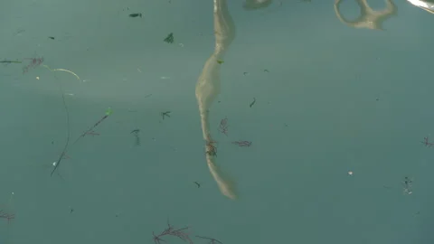 Water reflection in venice Stock Footage 161193453