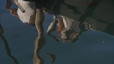 Water reflection in venice Video stock 161193712