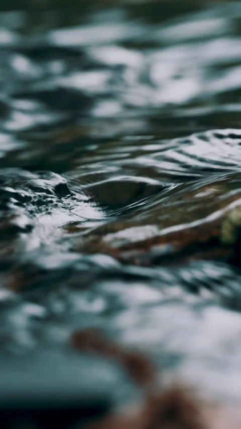 Water reflection in water Stock-Footage 241420750