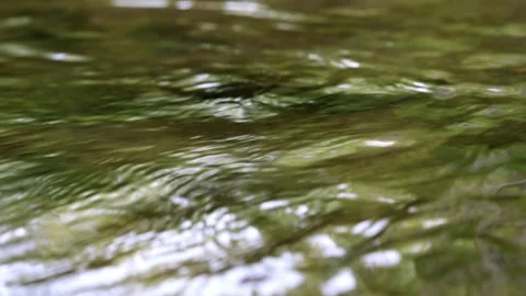 Water reflection in water Video stock 246044477
