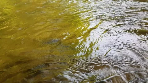 Water reflection in water Video stock 246124727