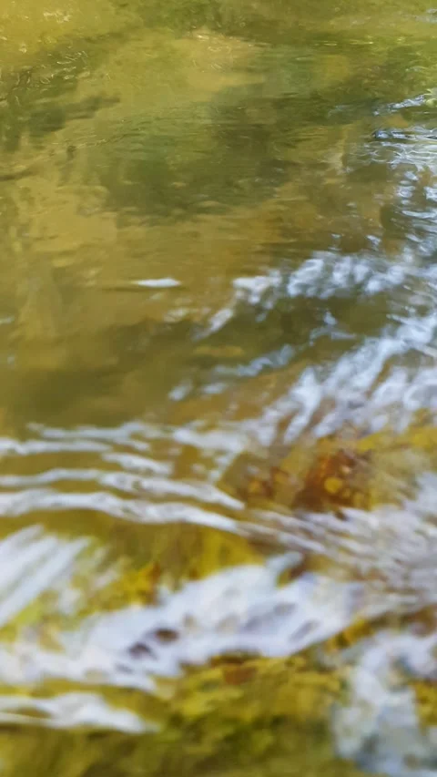 Water reflection in water Video stock 246125457