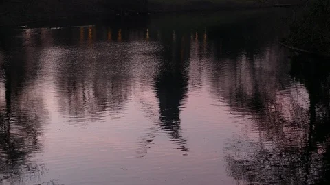 Water reflection, Windmill and trees abstract at dusk, winter, Bremen, German Stock Footage 123568484