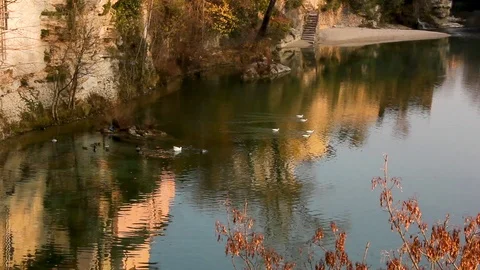 Water reflection on winter river with goslings Stock Footage 111921693