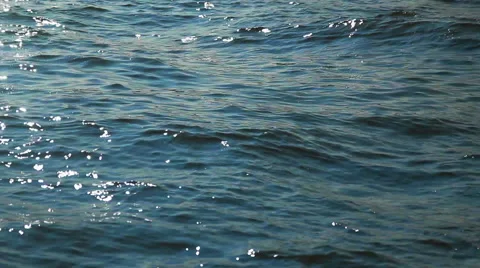 Water reflections background 動画素材 41584562