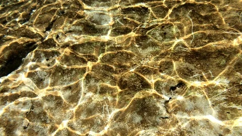 Water reflections on the bottom of riverbed Video stock 109419326