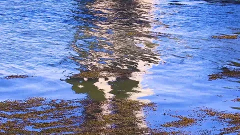 Water Reflections Creating A Mirage Appearance On The River Tay Stock Footage 304989880