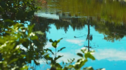 Water Reflections at a Duck Pond Stock Footage 40974388