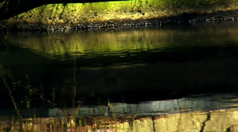 Water Reflections Stock-Footage 87794