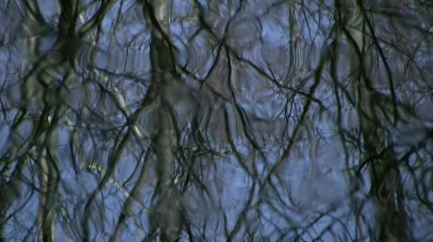 Water reflections Video stock 349222