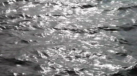 Water reflections Vidéo 808666