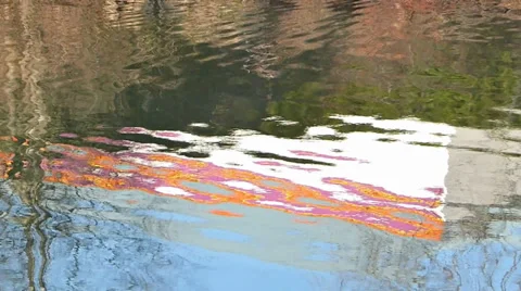 Water Reflections Stock Footage 37688164