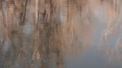 Water reflections Stock Footage 44803235