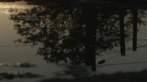 Water reflections  Stock Footage 64216105