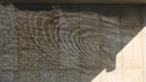 Water Reflections Stock Footage 170169502