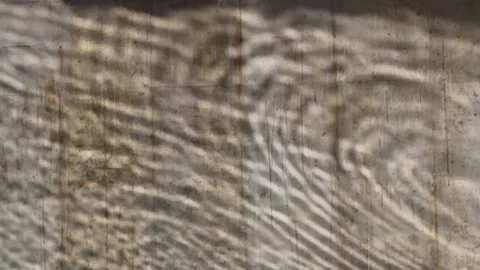 Water Reflections Video stock 170169528