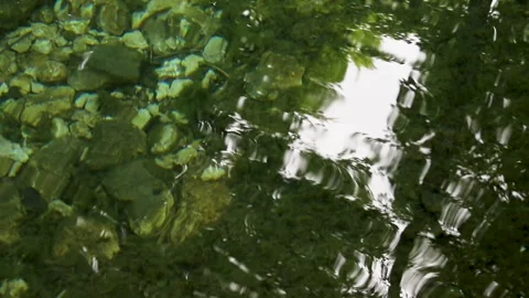 Water reflections Video stock 283461260