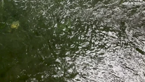 Water reflections Video stock 283461262