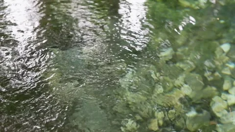 Water reflections Stock Footage 283461265