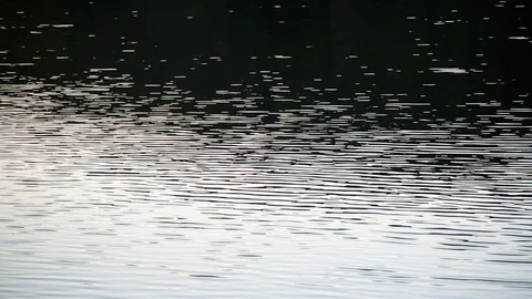 Water reflections graphic lines 動画素材 96042500