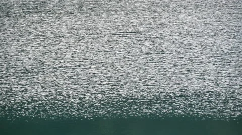 Water reflections green Stock Footage 55283194