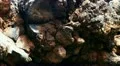 Water reflections on Lavastones 20110428 140635 HD Footage