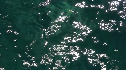 Water Reflections Loop Stock Footage 8506507